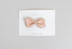 Ciala Co. Large Stella Leather Bow